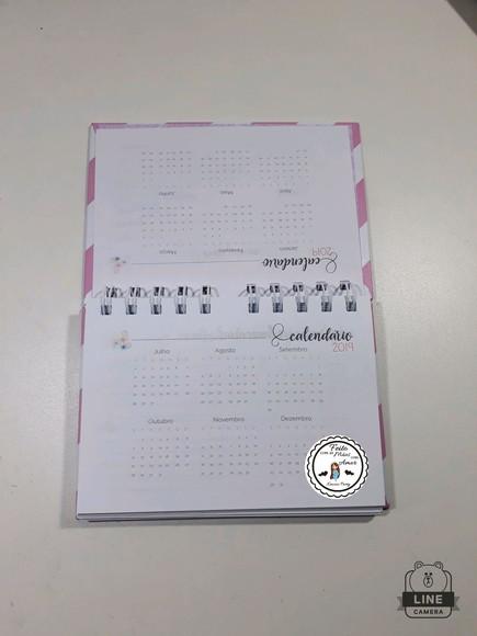 Mini planner 2019