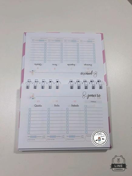 Mini planner 2019