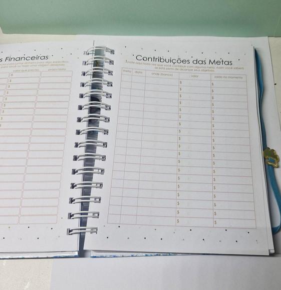 Planner Financeiro Permanente
