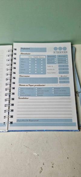 Agenda Creche Carros