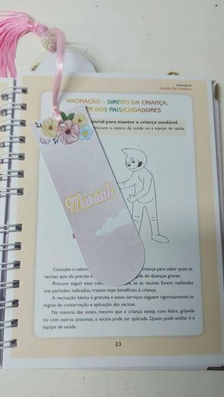 Caderneta de Saude Ovelhinha