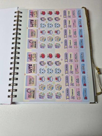 Caderno Professora