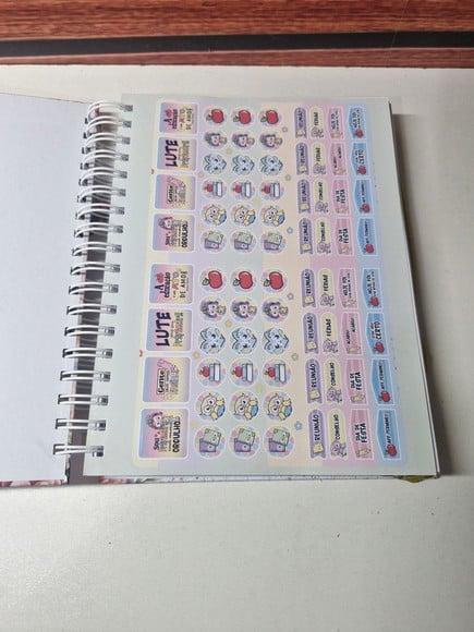 Caderno Professora Colegial