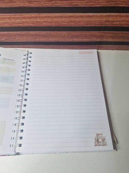 Caderno Professora