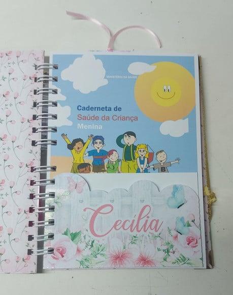 Kit Caderneta e Livro do Bebê