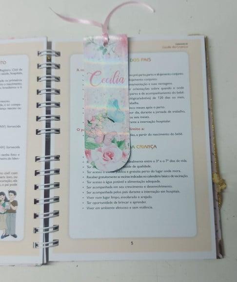 Kit Caderneta e Livro do Bebê