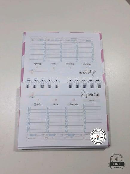 Mini planner 2019