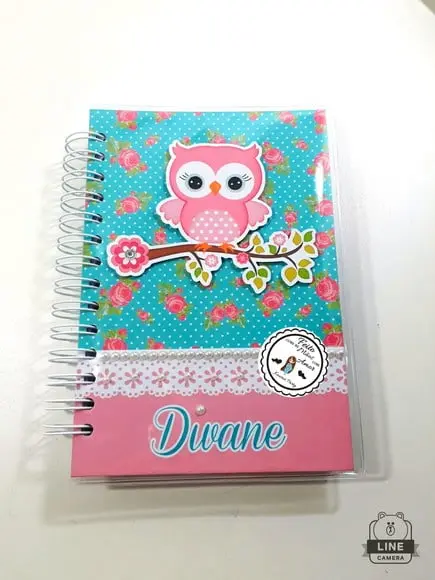 Agenda Coruja
