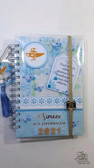 Agenda Enfermeira 2026