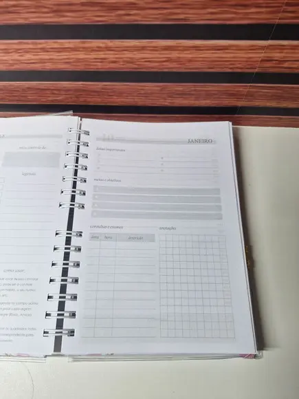 Agenda Personalizada 2026