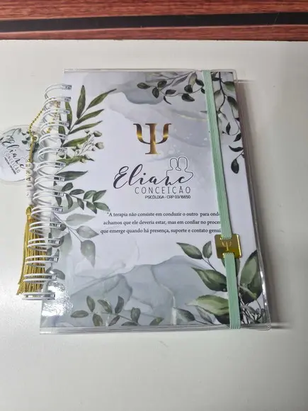 Caderno Controle Consultas