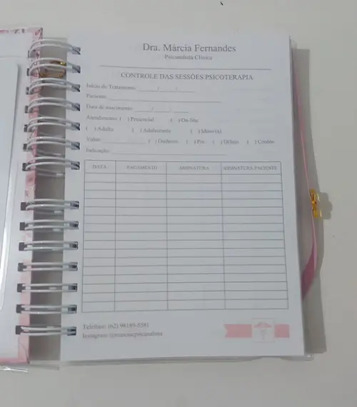 Caderno Controle Consultas
