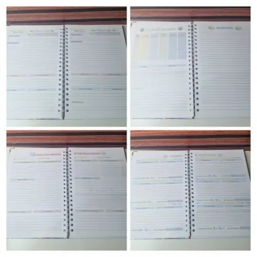Caderno de Planejamento Professora