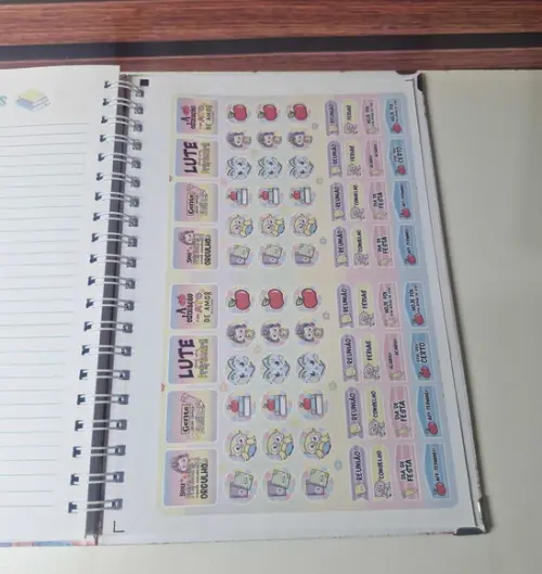 Caderno de Planejamento Professora