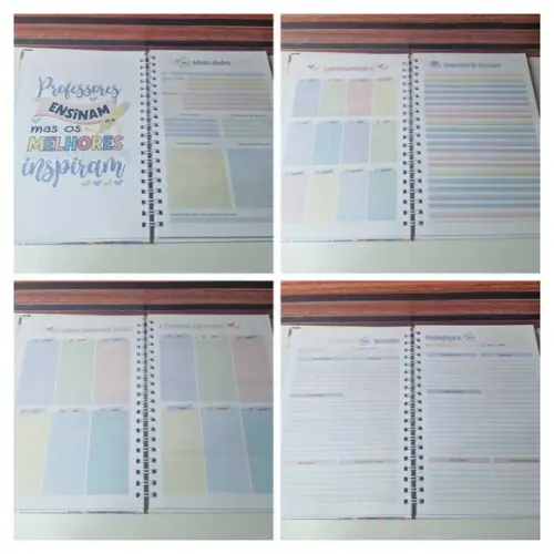 Caderno de Planejamento Professora