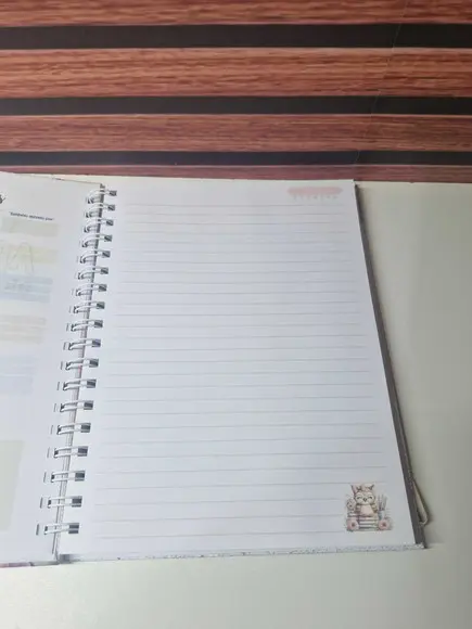 Caderno Professora