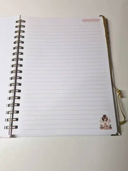 Caderno Professora