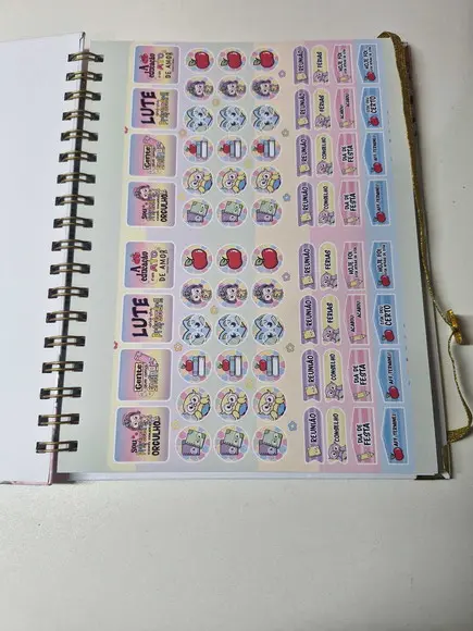 Caderno Professora