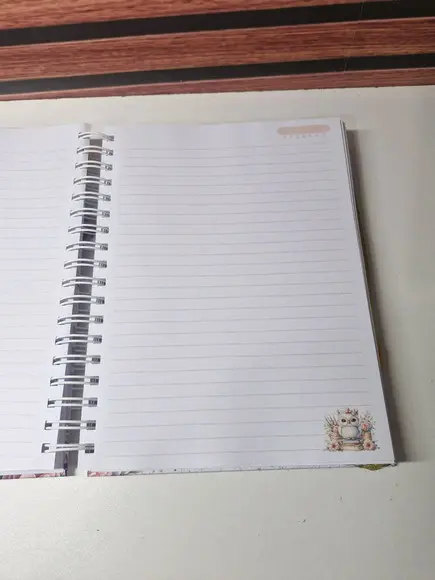 Caderno Professora Colegial