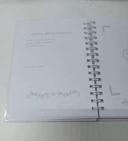 Diário do Bebê Abelhinha