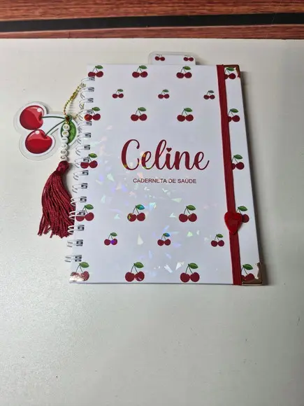 Kit Caderneta de Saude e Porta Certidão Cereja