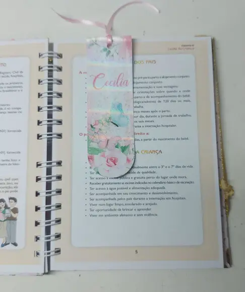 Kit Caderneta e Livro do Bebê