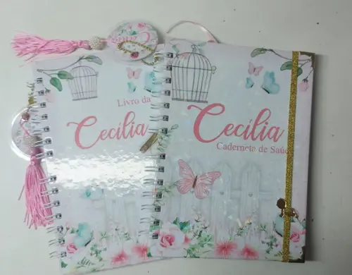 Kit Caderneta e Livro do Bebê