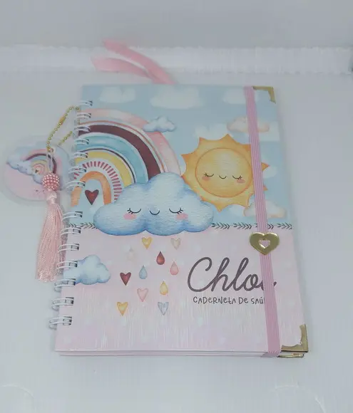 Kit Caderneta e Livro do Bebe Chuva de Amor