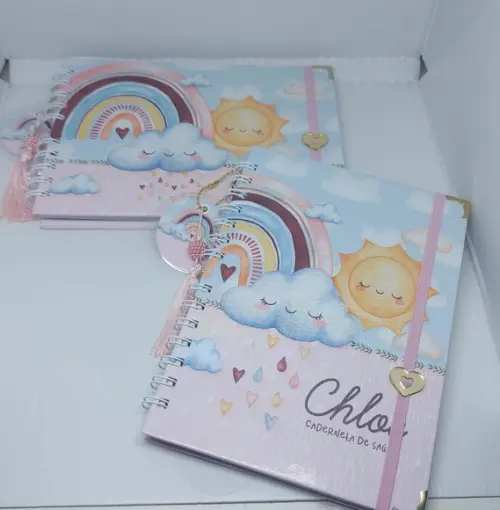 Kit Caderneta e Livro do Bebe Chuva de Amor