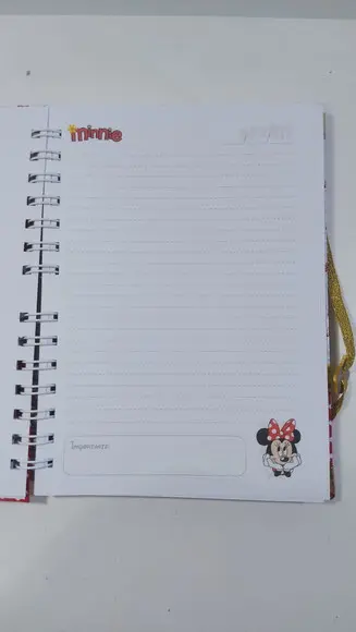 Kit Estojo + Caderno Personalizado Minnie