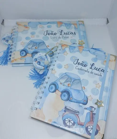 Kit Livro do Bebê + Caderneta Vacina Carrinho