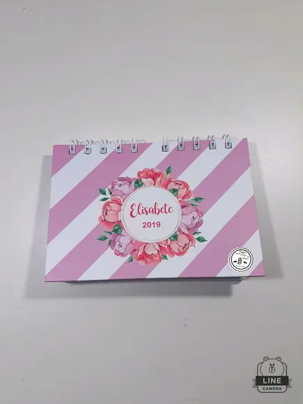 Mini planner 2019