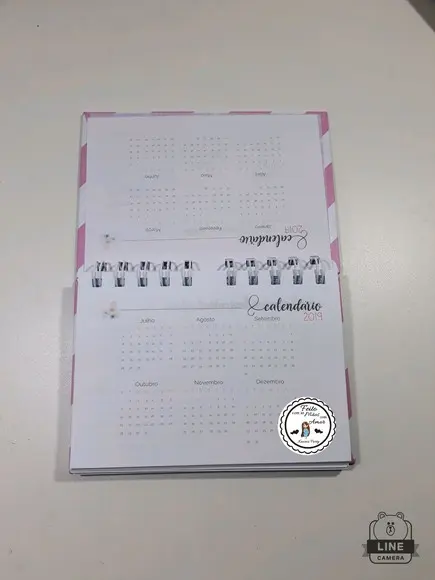 Mini planner 2019