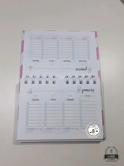 Mini planner 2019