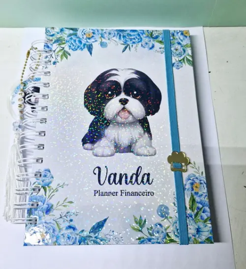 Planner Financeiro Permanente