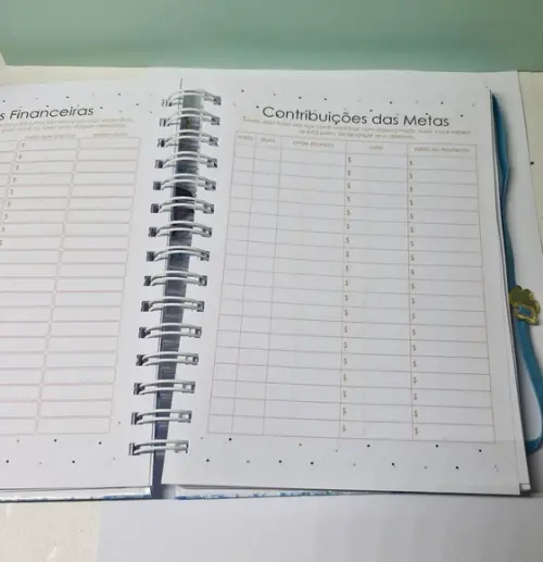 Planner Financeiro Permanente
