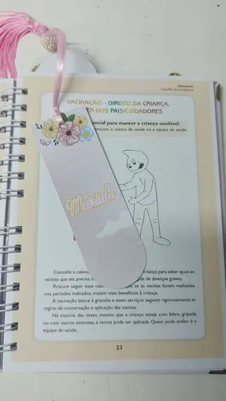 Caderneta de Saude Ovelhinha