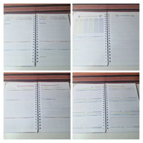 Caderno de Planejamento Professora