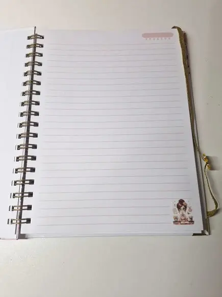 Caderno Professora