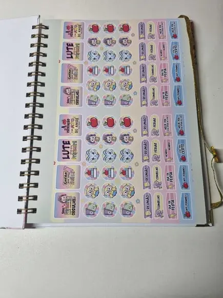 Caderno Professora