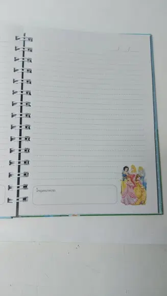 Caderno Personalizado Princesas