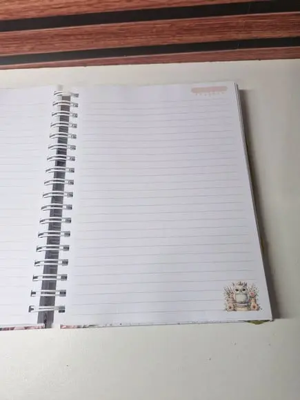 Caderno Professora Colegial