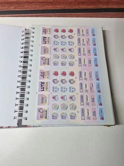 Caderno Professora Colegial