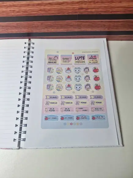 Caderno Professora