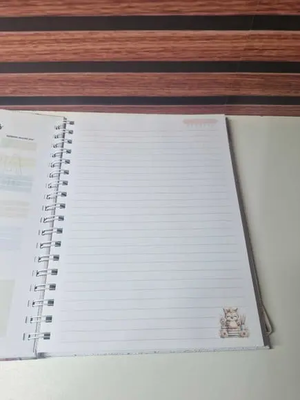 Caderno Professora