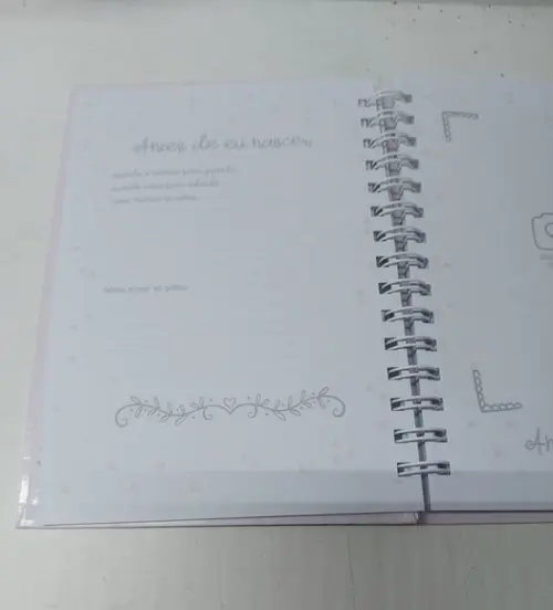 Diário do Bebê Abelhinha