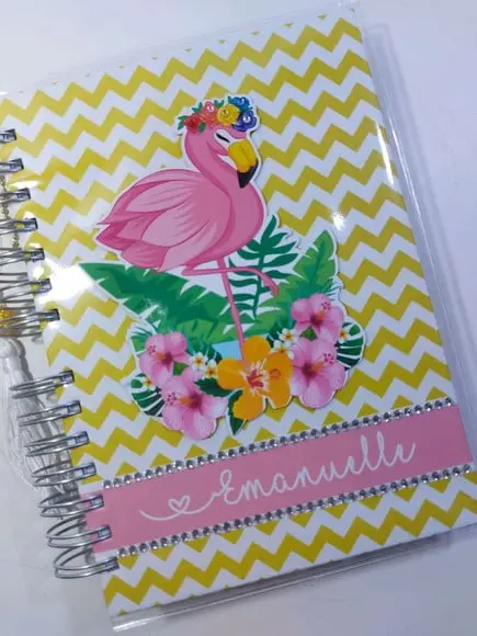 Kit Agenda Flamingo