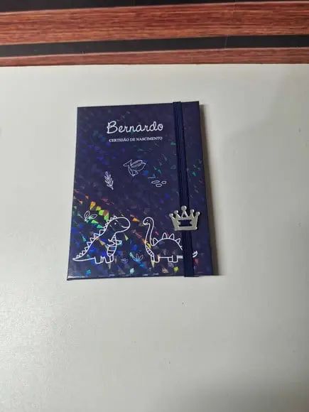 Kit Caderneta de Saude e Porta Certidão Dinossauros