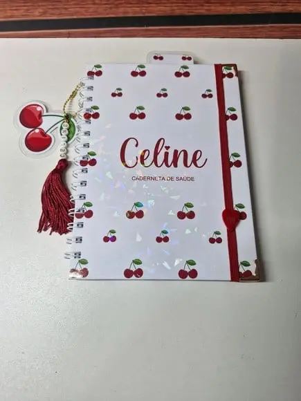 Kit Caderneta de Saude e Porta Certidão Cereja