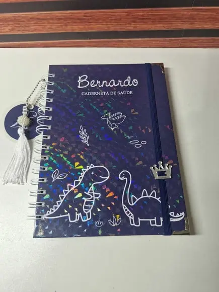 Kit Caderneta de Saude e Porta Certidão Dinossauros